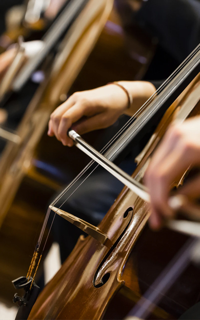 cello