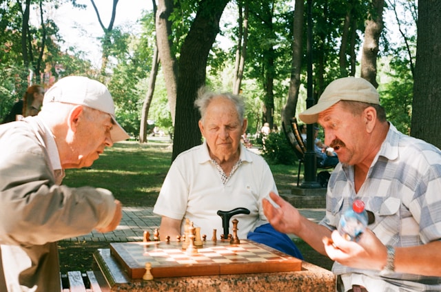 older men playing chess