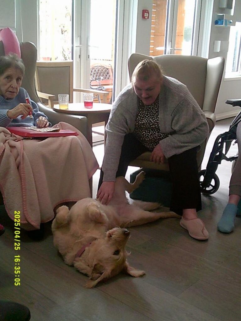 resident-stroking-support-dog