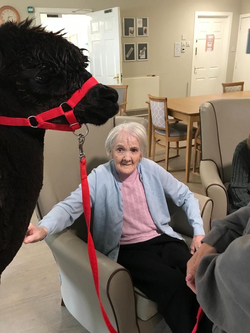 resident with llama