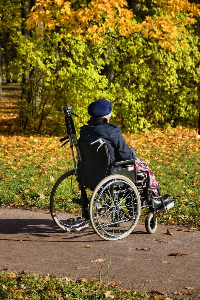 person on an outdoor path in a wheelchair